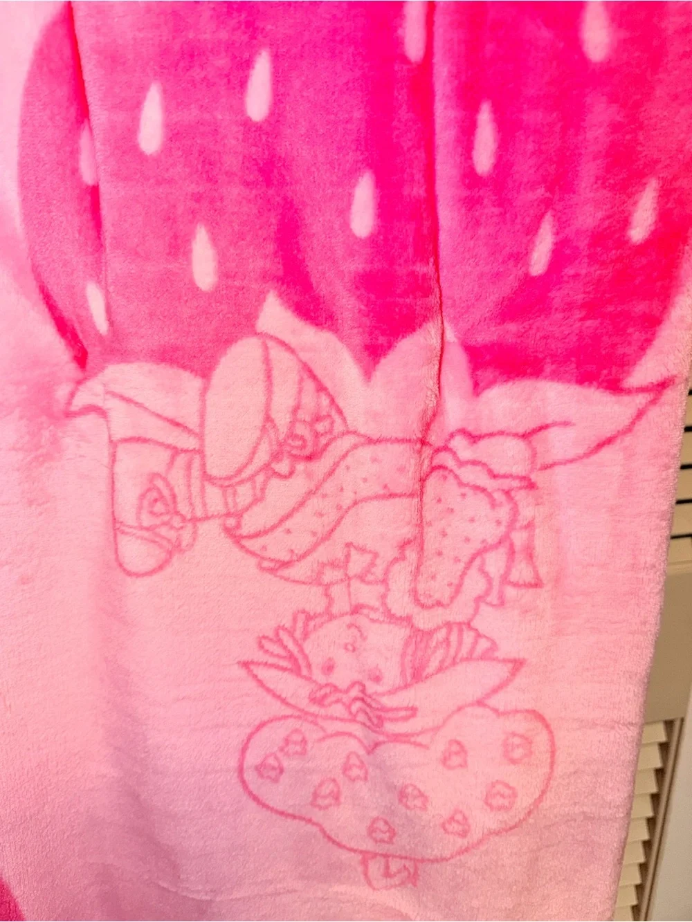 Strawberry Shortcake Plush Throw Blanket - Pink